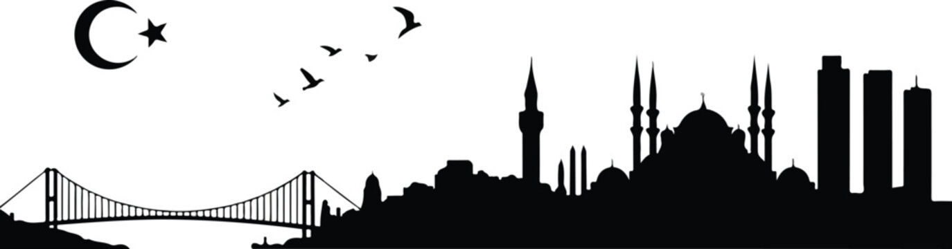 Minimalist black and white Istanbul skyline silhouette featuring Blue Mosque domes minarets and Bosphorus Bridge with flying birds composition