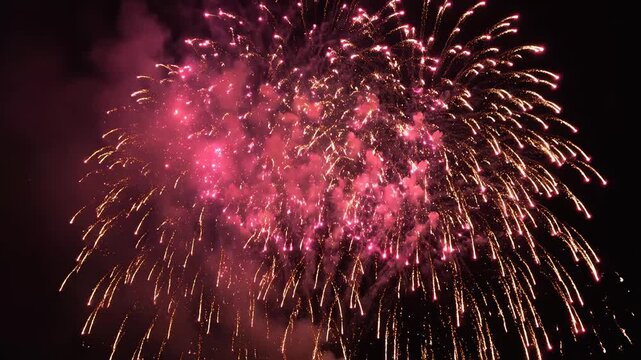 Colorful fireworks exploding in night sky for commercial backgrounds, digital design, and advertising