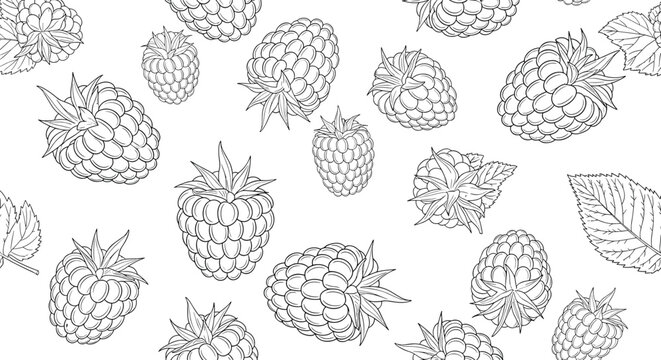 Detailed seamless pattern featuring delicate line art illustrations of ripe raspberries and botanical foliage perfect for spring and summer themes.