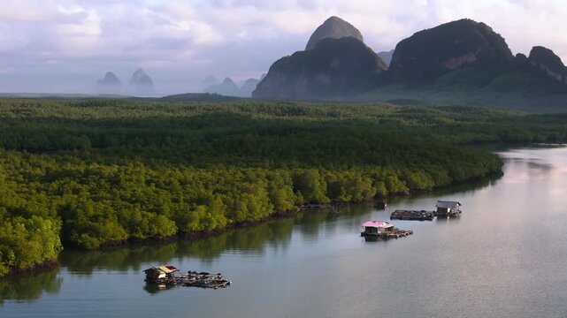 Mangrove forest, small huts out in the water, mountains, Phang Nga bay