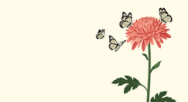 Beautiful pink chrysanthemum flower with several butterflies flying around it on a soft light background. Delicate floral illustration for spring and summer themes.