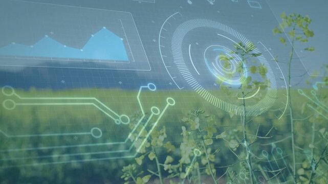 Crops staying focused while sensor data driving pulsing HUD, chart, traces over field for agritech