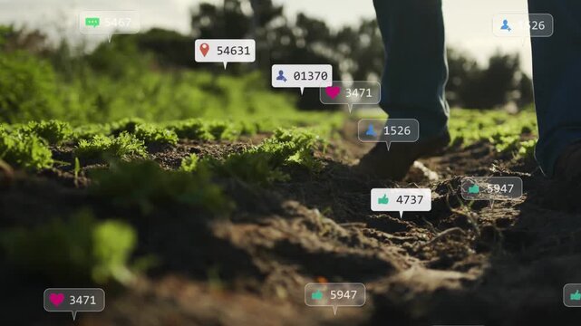 Senior man walking along dirt furrow, first steps causing notification bubbles to rise around boots