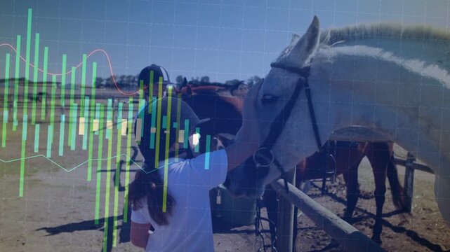 Girl raising arm, patting horse in paddock while horse leaning and overlay showing vertical bars