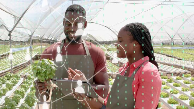 Team holding herbs and tapping tablet in greenhouse overlay expanding from tablet showing crop data