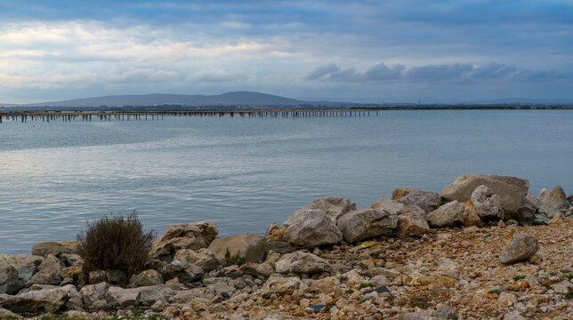 Elevage de moules et d'huitres, Villeneuve-les-Maguelone, H&eacute;rault, France