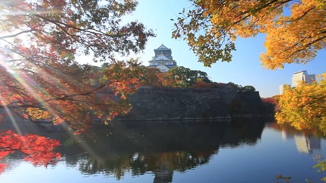 大阪城と紅葉と木もれ日と内濠と飛び立つカモ