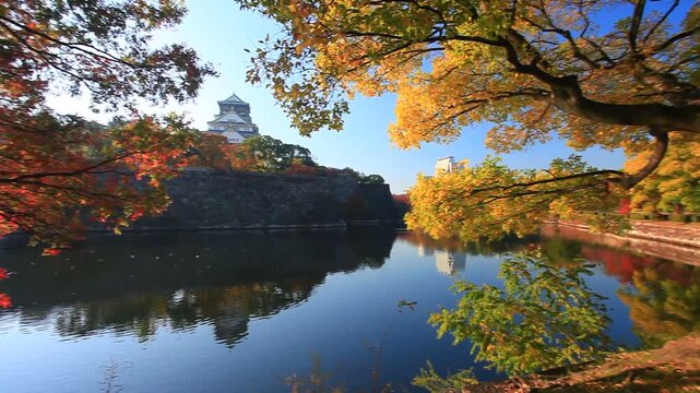 大阪城と紅葉と木もれ日と内濠