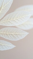 Obraz premium Translucent White Leaves with Delicate Veins on a Soft Background, Showcasing Botanical Elegance