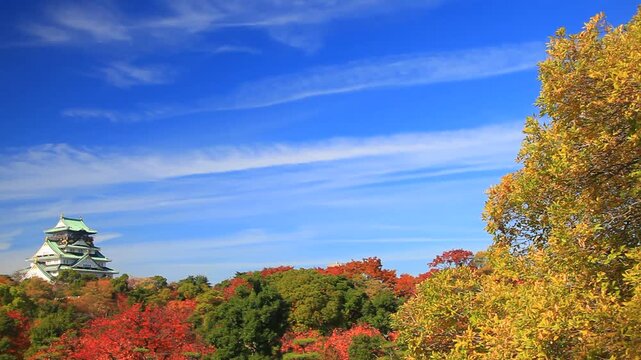 サクラなどの紅葉の大阪城と秋空