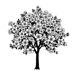 Fototapeta premium Detailed vector illustration of flowering tree with abundant blossoms and leaves
