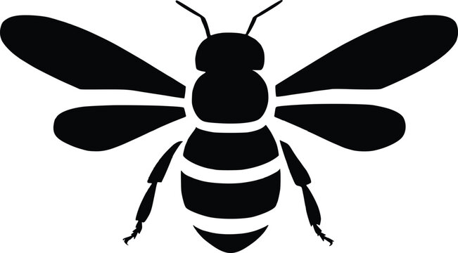 Honey Bee Silhouette Vector Set Black Bumble Bee Icon Collection Clipart