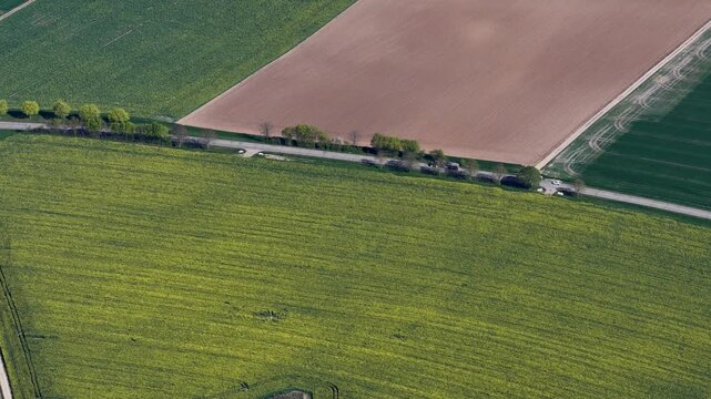 Aerial view of agricultural fields showing a vibrant mix of greens and browns bisected by a road with trees, Wintzenheim-Kochersberg, Grand Est, France.