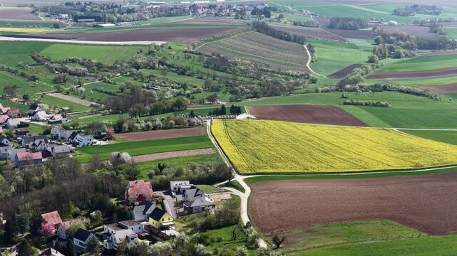 Aerial view of yellow and green fields, a small village and winding roads creating a patchwork of textures and tones, Wintzenheim-Kochersberg, Grand Est, France.