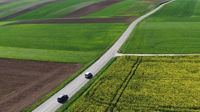 Aerial view of vibrant green and yellow agricultural fields bisected by a road with cars, creating a patchwork of color and texture, Wintzenheim-Kochersberg, Grand Est, France.