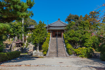 Fototapeta premium Horyu-ji Temple ,located in Nara is known as the oldest wooden structure in the world. Horyuji was registerd as UNESCO World Heritage site in 1993.