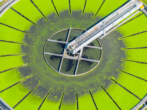 Aerial view of a circular clarifier tank at a wastewater treatment plant with bright green algae on the water surface in Prato, Tuscany, Italy.
