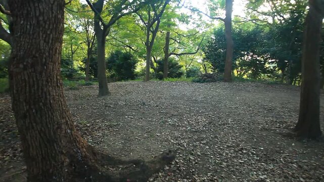 茶臼山本陣跡