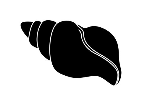 Black silhouette of a sea shell. Illustration on a transparent background