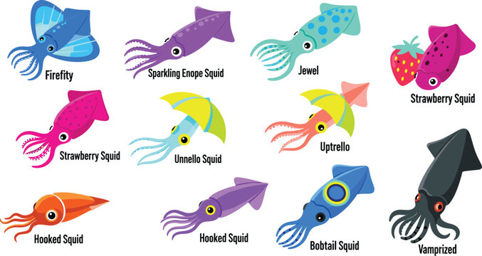 Squid species and colorful cephalopod marine life flat icon set