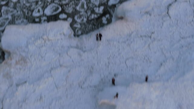 Aerial view of the frozen Baltic sea reveals a mosaic of ice floes, creating a stark, textured landscape of whites and greys, Mikoszewo, pomorskie, Poland.