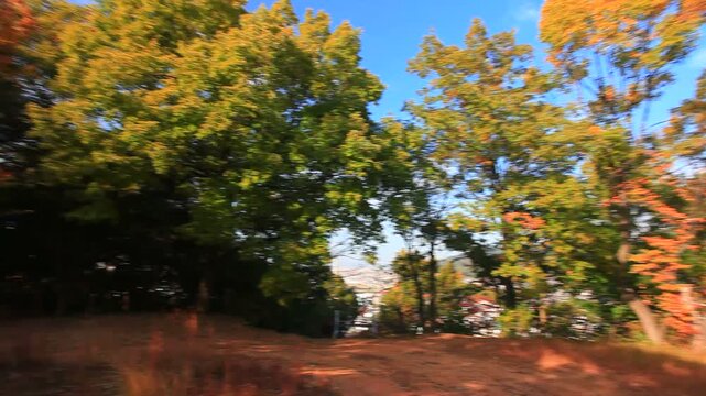 大坂夏の陣両軍戦没者供養塔