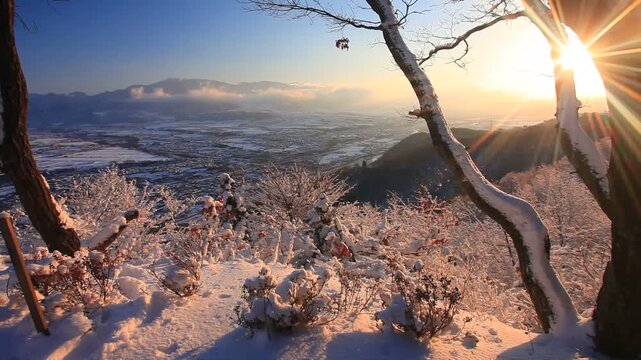 小牧城の着雪した樹林と朝日の木もれ日と烏帽子岳などの山並み