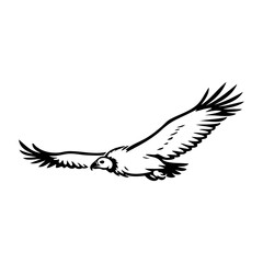 Logotipo con dibujo minimalista con líneas de un buitre volando con las alas abiertas  © teracreonte