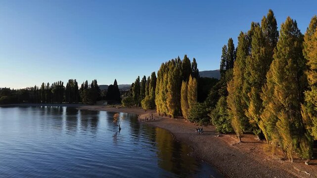 Aerial view of the lone tree in Lake Wanaka, with the shoreline bustling with people enjoying the serene beauty, Wanaka, Otago Region, New Zealand.