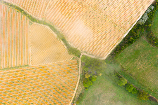 Aerial view of geometric patterns of cultivated agricultural fields and vineyards with a dirt path and green trees Piantravigne, Tuscany, Italy.