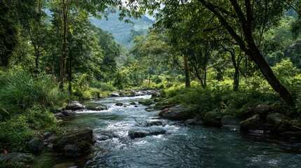 Fototapeta premium A serene and peaceful forest landscape with a gentle stream flowing through it