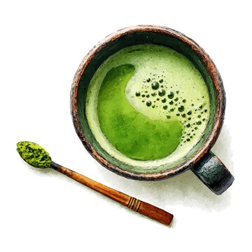 Watercolor Matcha Tea vector, artistic painting style, high-resolution illustration on a pure white background.
