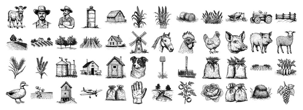 Agriculture and farm icons set vector illustration, Hand drawn rural symbols with livestock animals tractor barn and farmers, Vintage engraving collection