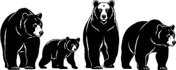 Obraz premium Black bear illustrations set with different poses realistic wildlife animal silhouettes detailed forest creature collection for design use