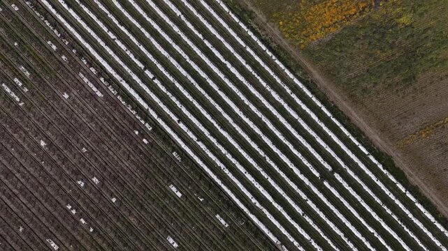 Aerial view of the agricultural fields, divided into sections with varying colors and textures, creating a patchwork effect, Valenca, Portugal.