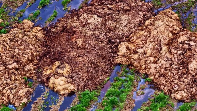 Agricultural manure pile leaching into field, environmental concern