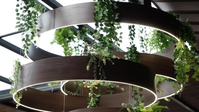 Multiple tiered circular LED ring pendant lights draped with trailing ivy and ferns suspended from a dark wooden ceiling structure indoors