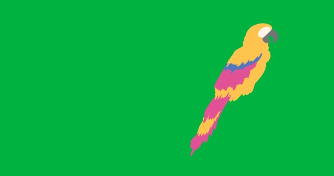Digital animation of macaw bird icon against black background