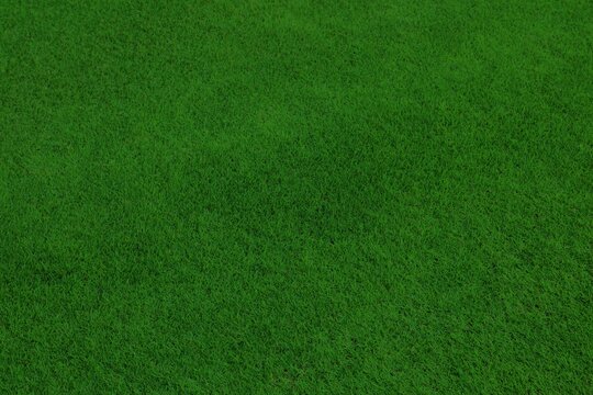 Green grass background top view. Photo texture of trimmed golf course grass.