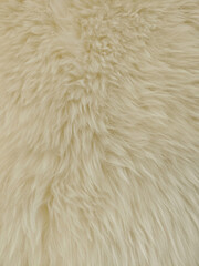 Fototapeta premium The texture of white faux fur with long pile
