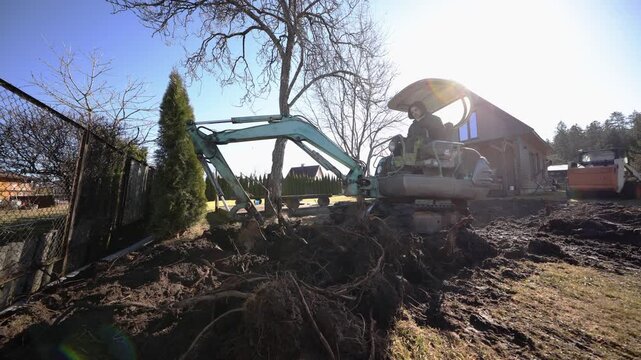 Mini excavator lifts uprooted tree root mass on residential site. Wide and low angles emphasize tangled roots as bucket swings upward and mud tracks show recent digging.