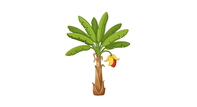 A small palm tree with fruit.