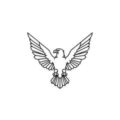Fototapeta premium Eagle Bird Flying Wings Spread Wide.