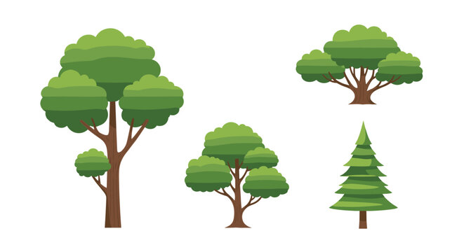 Collection of four different types of green trees including a tall broadleaf and a conical evergreen tree.