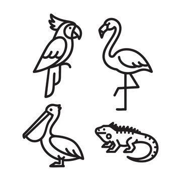Tropical Bird Bold Line Art icon set with Parrot Flamingo Pelican Iguana Bird