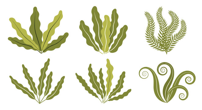 Collection of various green seaweed or underwater plant illustrations in different wavy and spiral shapes for marine design themes.