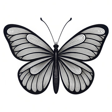 A beautiful black and white illustration of a butterfly with intricate details