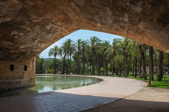 View of a pond and palm trees under a stone bridge arch in Turia Garden. Scenic public park landscape on a sunny summer day. Valencia. Spain. Europe.