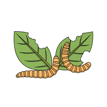 Cartoon caterpillars eating green leaves vector illustration