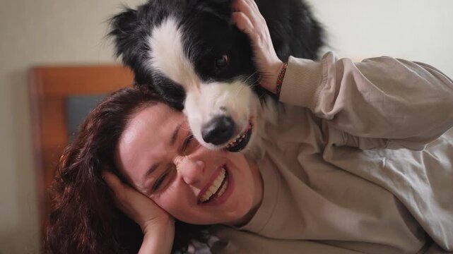 Smiling woman playing with cute puppy dog border collie on bed at home indoor. Owner girl stroking holding dog friend sitting on sofa in living room. Love for pets friendship support team concept